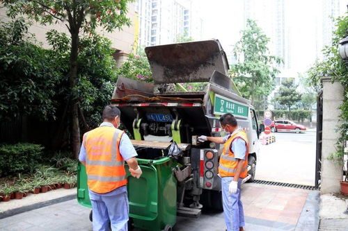 自带“美颜”功能 生活垃圾分类让城市颜值与经营服务双提升